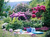 Picknickplatz: Rhododendron