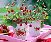 Fragaria hortensis (strawberry)