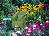 Green wicker chair in flowerbed with heliopsis (oxeye)