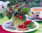 Fragaria hortensis (strawberry)