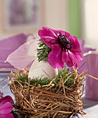 Duck egg as a flower vase in the nest