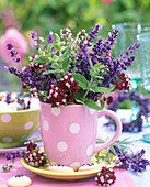 Lavandula (lavender), Origanum (oregano)