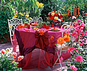 Festive dahlia table decoration on the terrace