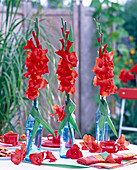 Gladiolus (red gladioli)
