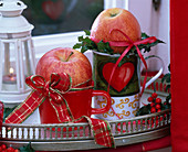Malus (Äpfel) auf Kaffeebecher mit Ilex (Stechpalme, Rote Winterbeere)