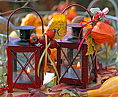 Red lanterns decorated with physalis (lantern)