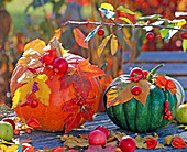 Cucurbita (pumpkin, ornamental squash) decorated with autumn leaves