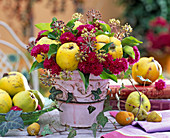 Autumn bouquet in pink pot with Cydonia oblonga (quince)