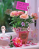 Rosa (Topfrose) in Übertopf mit Serviettentechnik, Sisal, Karaffe, Glasblüten