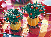 Solanum pseudocapsicum (Korallenbäumchen) in Cucurbita (Kürbissen), Calluna