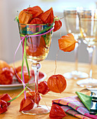 Physalis (lampion flower) wired and in wineglass