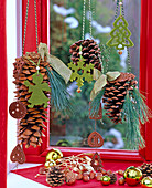 Pinus (silk pine), pine cones hung on cord