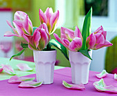 Tulipa 'Groenland' (Viridiflora Tulpe) in kleinen weißen Vasen