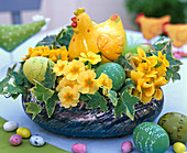 Easter nest with primula, hedera, easter eggs