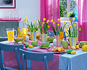 Easter table decoration with Narcissus 'Tete À Tete' (Daffodil)