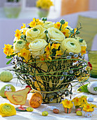 Ranunculus daffodil in twig decorated with branches