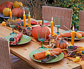 Autumn table decoration with cucurbita in the middle of the table