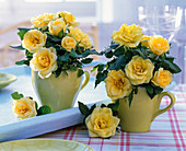Gelbe Rosa (Rosen) in gelben Tassen, hellblaues Tablett