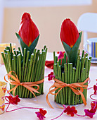 Rote Tulipa (Tulpen) in Topf, mit grünen Zweigstücken von Cornus (Hartriegel)