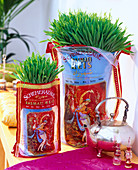 Triticum (wheat) planted in rice sacks, teapot, fragrance bottles