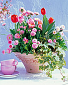 Tulipa (rote und rosa Tulpen), Bellis (Tausendschön)