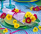Primula (Frühlingsprimeln, gelb und rot) als Sträußchen in gerollter Serviette