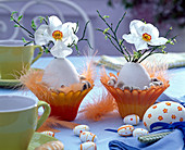 Egg vases with Narcissus poeticus (poet-narcissus)