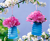 Blossoms of pink rhododendron in blue vases on malus branch