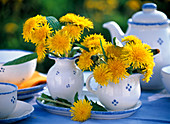 Bouquets of taraxacum (dandelion) in blue and white coffee set