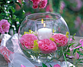 Windlicht mit Rosa (Rosen, rosa), Alchemilla (Frauenmantel), Vicia