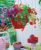 Spray red hampers in red