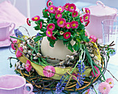 Ostrich egg in the wreath