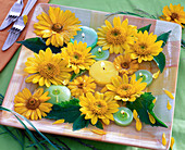 Flowers of Heliopsis scabra and Helianthus decapetalus