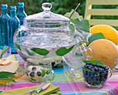 Bowl with cucumis (nettle and honeydew melon) and salvia rutilans