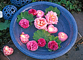 Flowers of rose, alchemilla, heart-shaped floating candles
