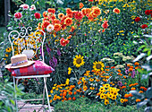 Metal chair on orange summer flowerbed