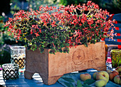 Hand-made flower box with geraniums