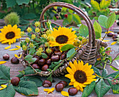 Decoration with Aesculus and Helianthus