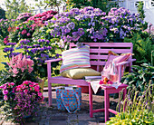 Half shaded terrace with hydrangeas and pink wooden bench