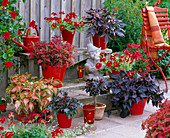 Terrace with red flowers, leaves and pots