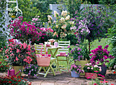 Container plant terrace with pink and blue flowers