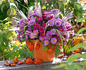 Autumn bouquet with asters and grasses