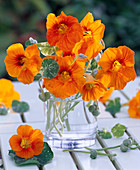 Small late summer Tropeaolum bouquet glass vase