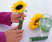 Sunflower in flower tube