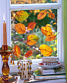 Glue leaves to the window