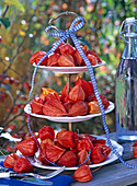 Physalis on white cake rack, decorated with plaid ribbon, cutlery