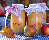 Malus (apple), leaves, applesauce with doily, paring knife