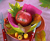 Malus (apple) as name tag 'Eva', acer (maple) foliage