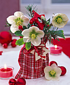 Small bouquet of helleborus niger (Christmas rose), pseudotsuga