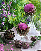 Artichoke table decoration: Cynara scolymus